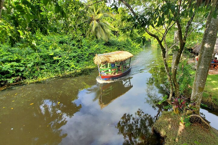 Jungle Safari Adventure Amber Cove And Taino Bay